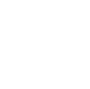 SEC White Emblem